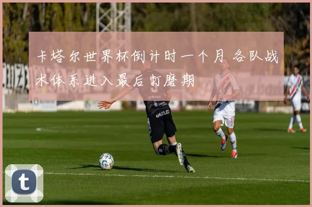 卡塔尔世界杯倒计时一个月 各队战术体系进入最后打磨期