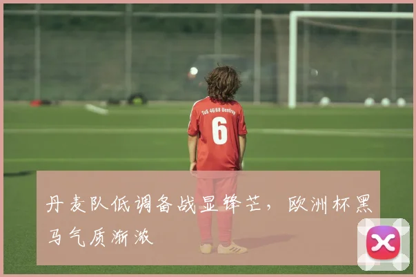 丹麦队低调备战显锋芒，欧洲杯黑马气质渐浓