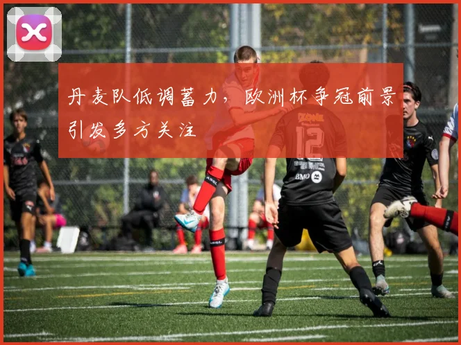 丹麦队低调蓄力，欧洲杯争冠前景引发多方关注