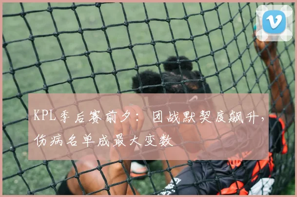 KPL季后赛前夕:团战默契度飙升,伤病名单成最大变数