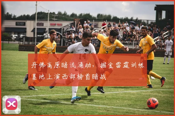丹佛高原暗流涌动,掘金雷霆训练基地上演西部榜首暗战